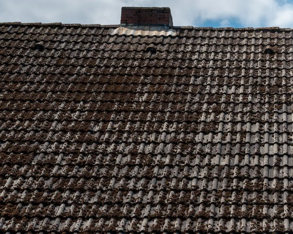 Old roof with moss and chimney.