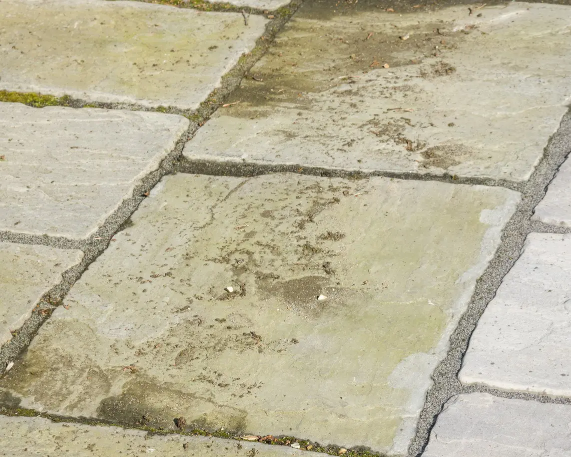 Stone pavement with moss and dirt patches.