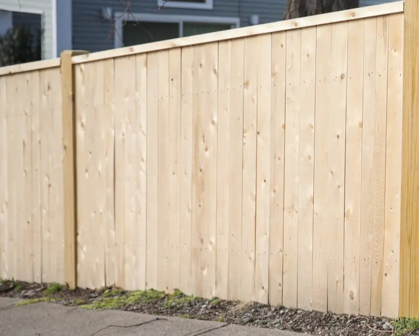 Wooden privacy fence beside a sidewalk.
