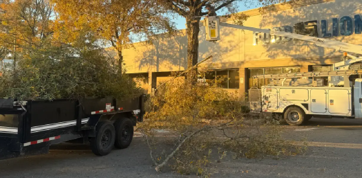 A large tree branch has fallen in front of a yellow house.
